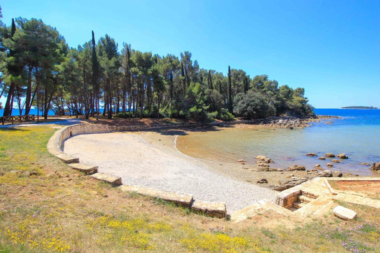 Vila Una With Private Pool Near Rovinj - Open 2022 Rovinjsko Selo Buitenkant foto