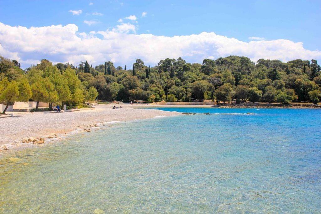 Vila Una With Private Pool Near Rovinj - Open 2022 Rovinjsko Selo Buitenkant foto